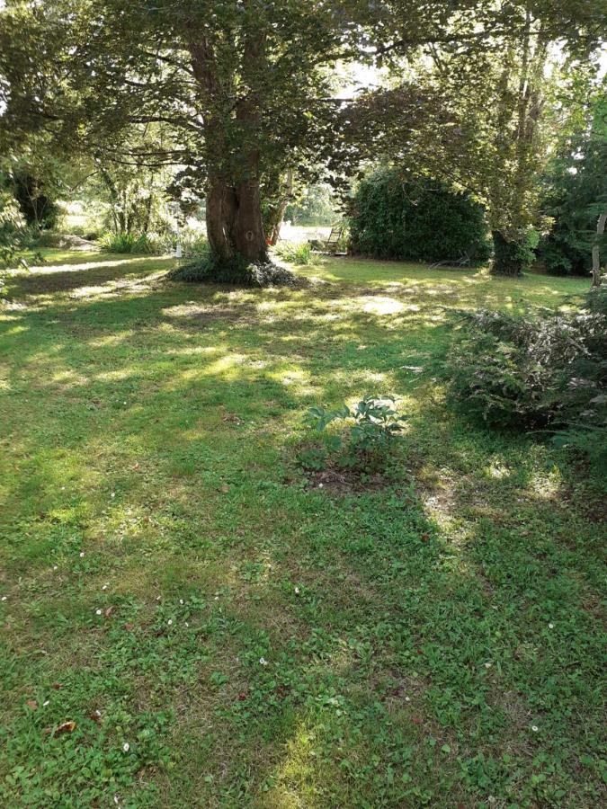 Gite " Jardin Peyrona" Visite Zoo Beauval Et Chateaux De Loire Beaulieu-les-Loches Exterior photo
