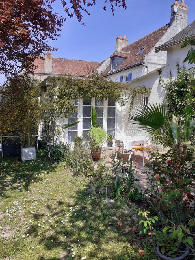 Gite " Jardin Peyrona" Visite Zoo Beauval Et Chateaux De Loire Beaulieu-les-Loches Exterior photo