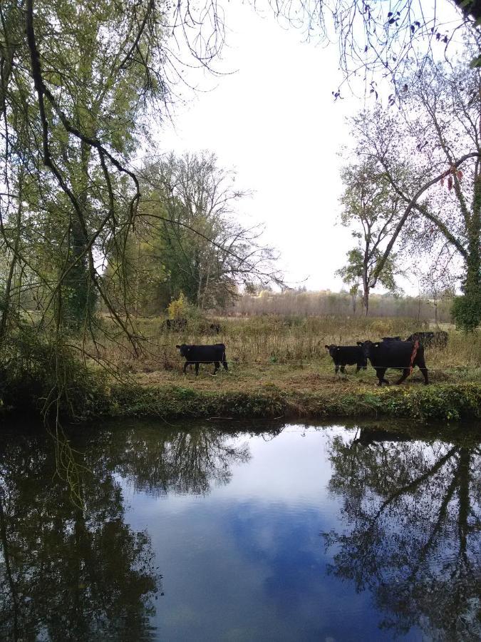 Gite " Jardin Peyrona" Visite Zoo Beauval Et Chateaux De Loire Beaulieu-les-Loches Exterior photo